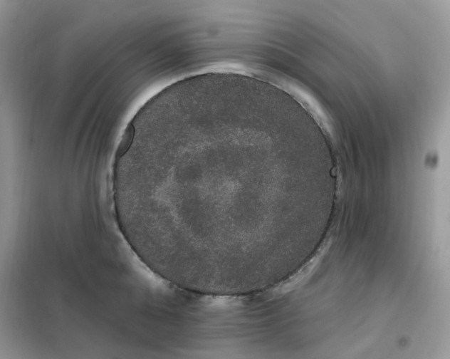 X0000102040808200808011509