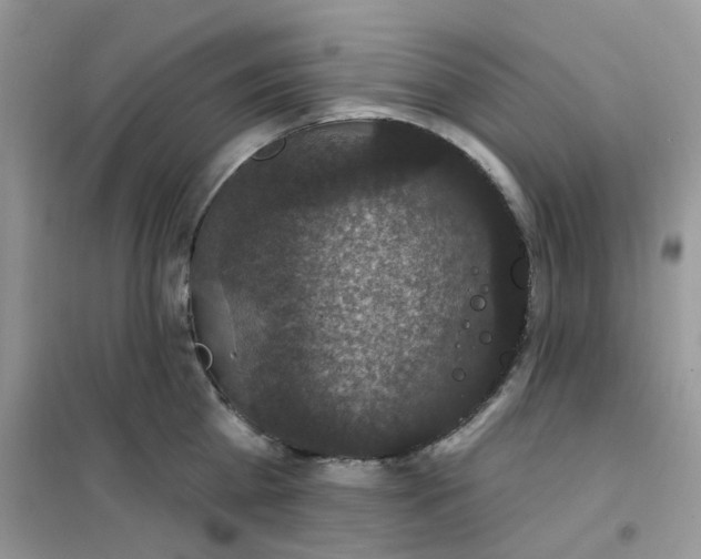 X0000102040809200808011509