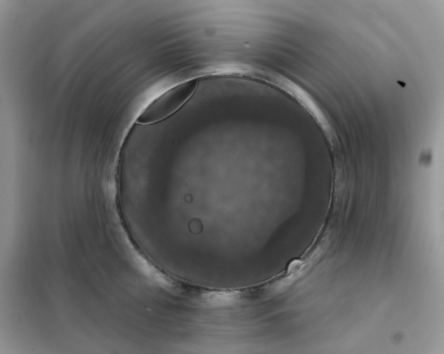 X0000102040810200808011509