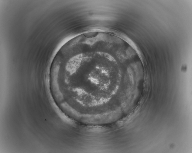 X0000102040811200808011509