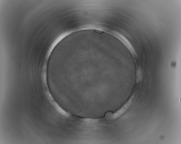 X0000102040812200808011509