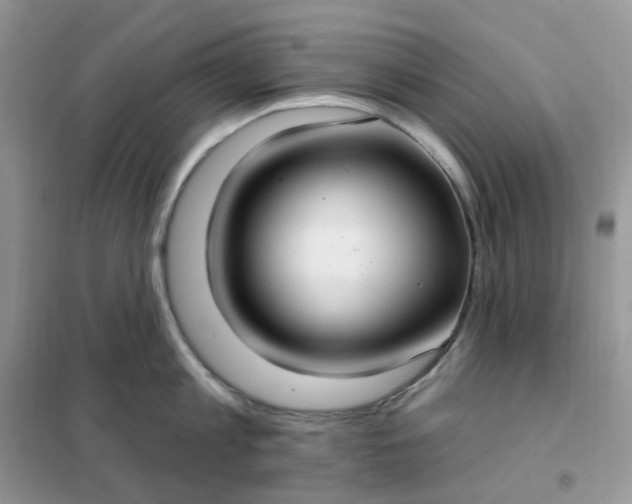 X0000102040813200808011509