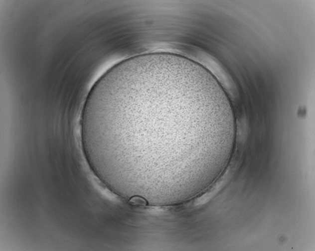 X0000102040814200808011509