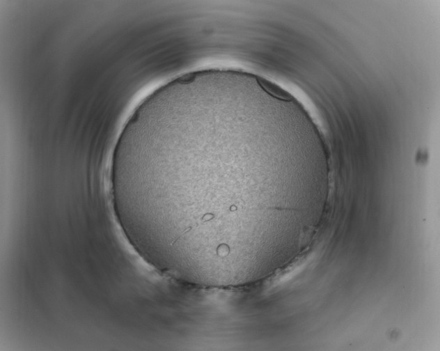 X0000102040815200808011509