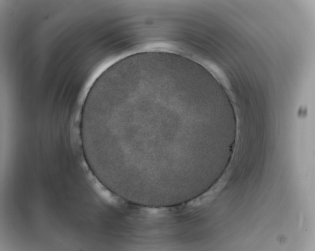 X0000102040816200808011509