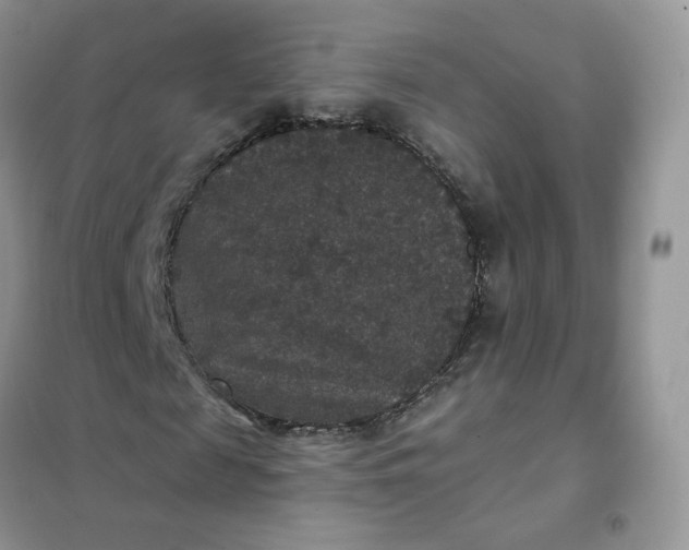 X0000102040817200808011508