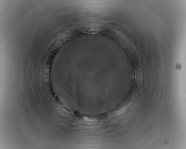 X0000102040818200808011508