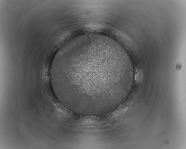 X0000102040819200808011508