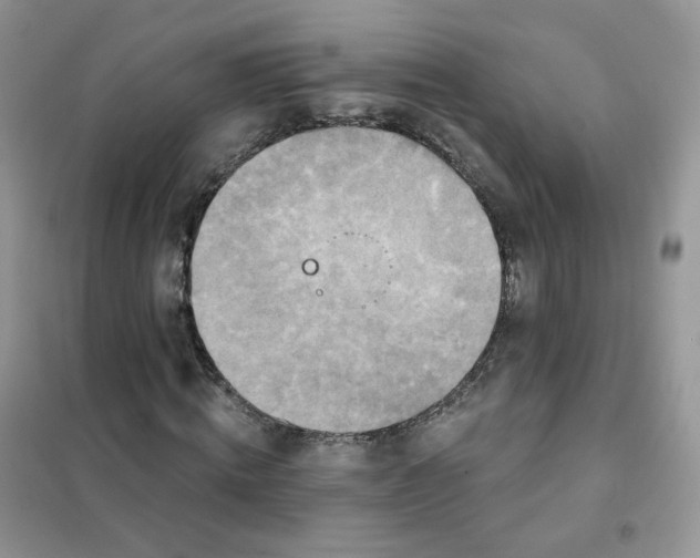 X0000102040820200808011508