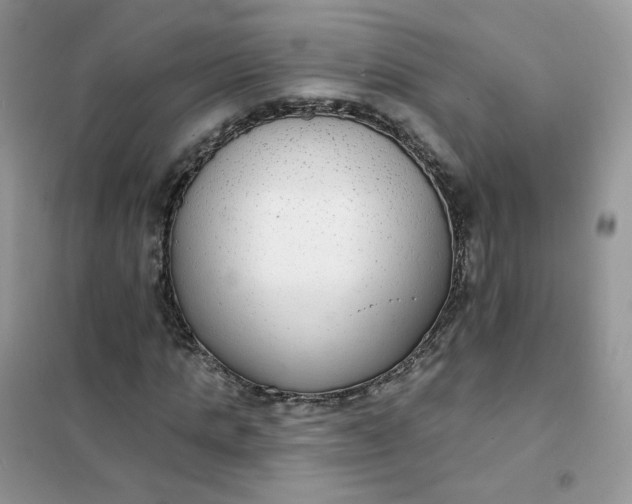 X0000102040821200808011508