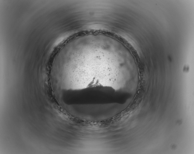 X0000102040823200808011508