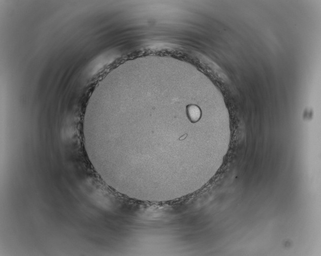 X0000102040824200808011508