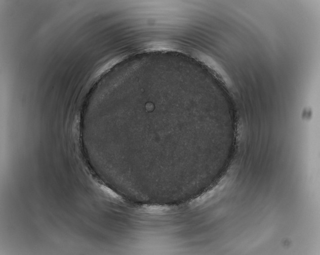 X0000102040825200808011508