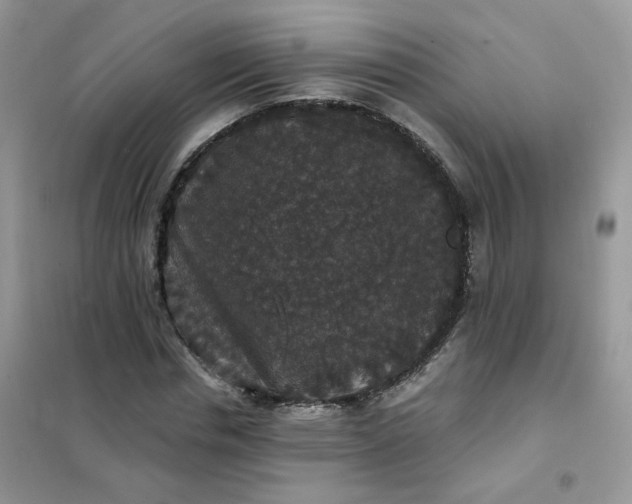 X0000102040826200808011508