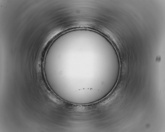 X0000102040827200808011508