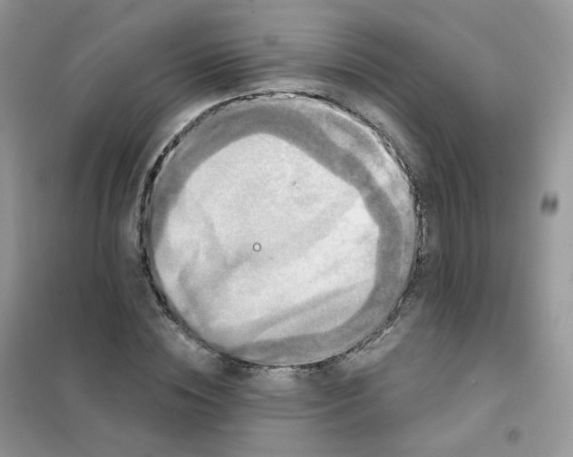 X0000102040828200808011508