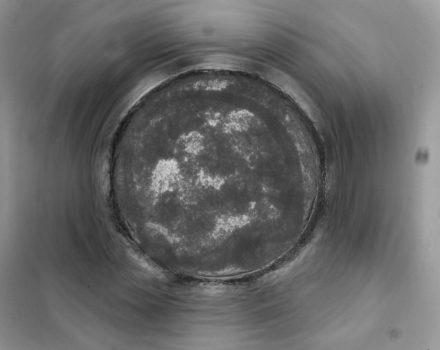 X0000102040829200808011508