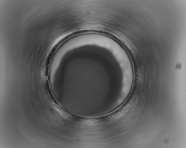 X0000102040830200808011508