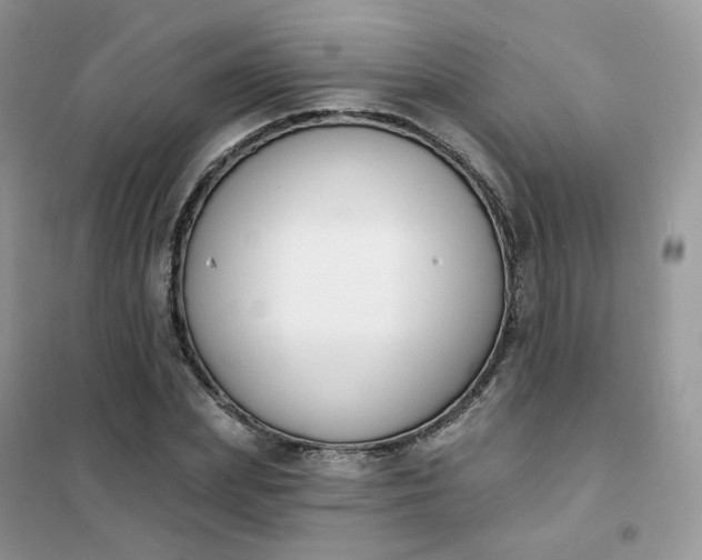 X0000102040831200808011508