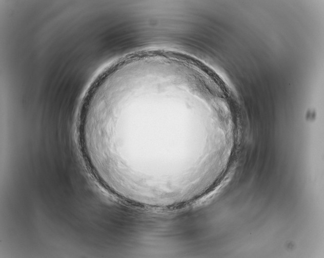 X0000102040832200808011508