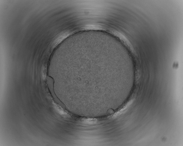 X0000102040833200808011508