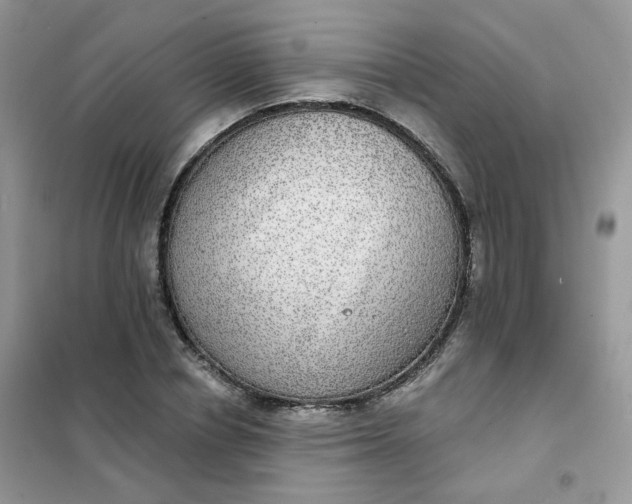 X0000102040834200808011508