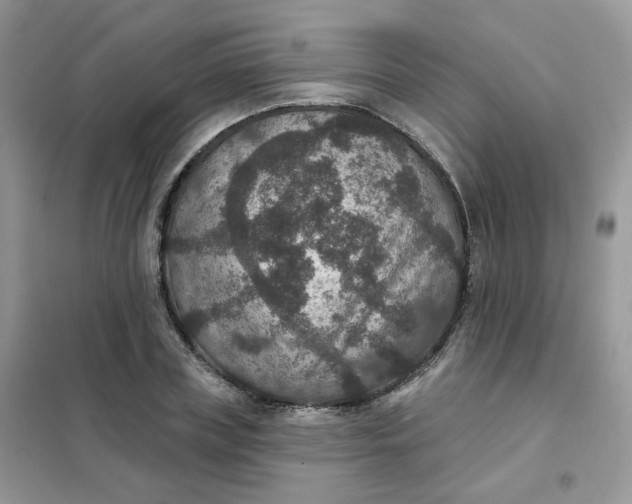 X0000102040835200808011508