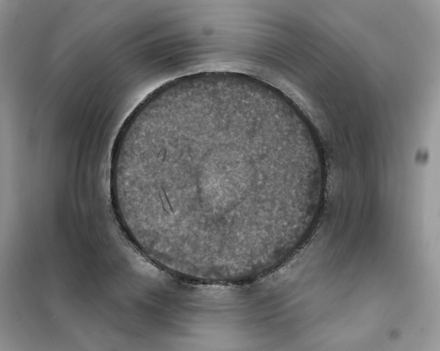 X0000102040836200808011508