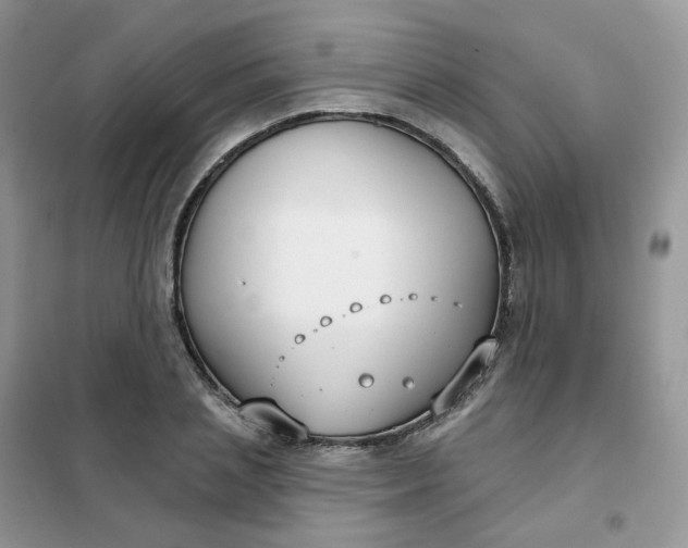 X0000102040837200808011508