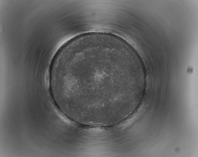 X0000102040838200808011508