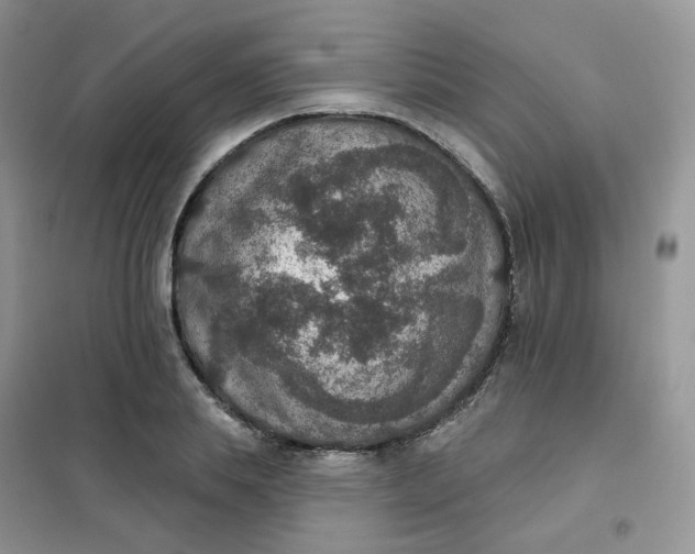 X0000102040839200808011508