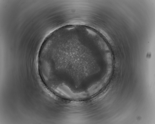 X0000102040840200808011508