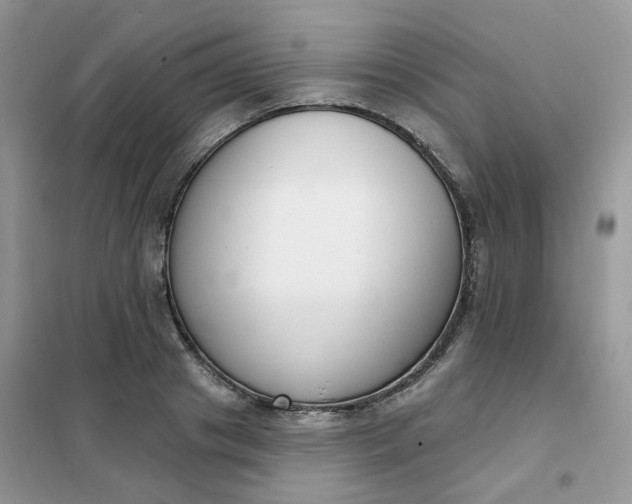 X0000102040841200808011508