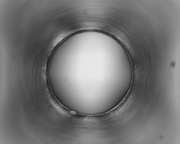 X0000102040842200808011508