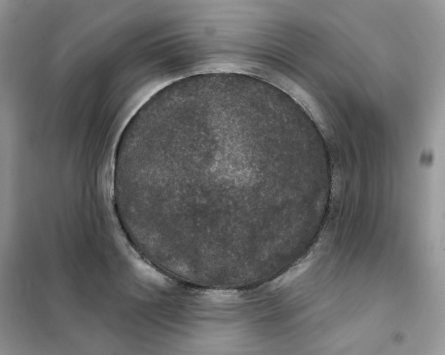 X0000102040844200808011508