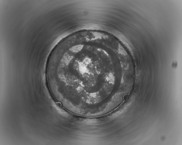 X0000102040845200808011508