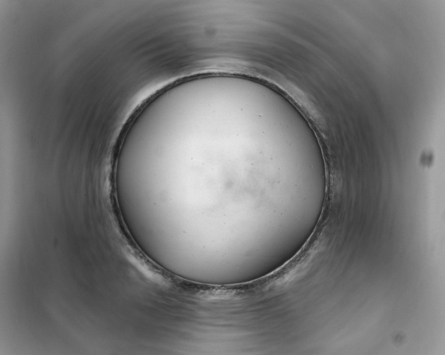 X0000102040846200808011508