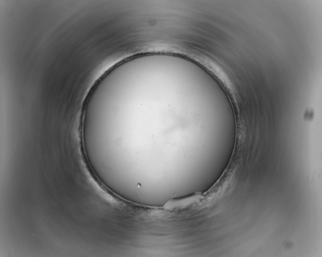 X0000102040847200808011508