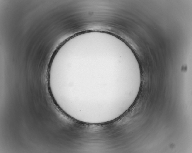 X0000102040848200808011508