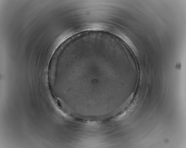 X0000102040850200808011508