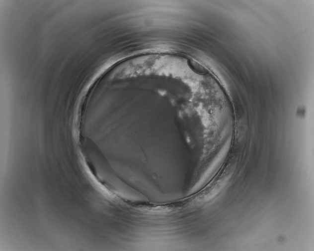 X0000102040851200808011508