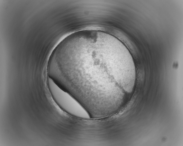 X0000102040852200808011508