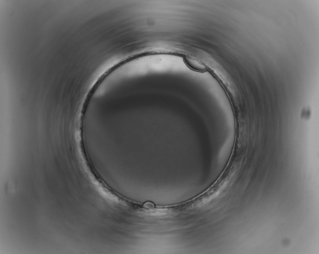 X0000102040853200808011508