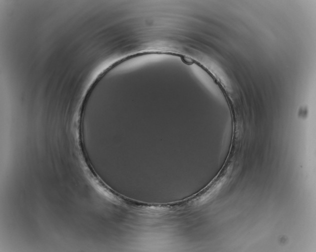 X0000102040854200808011508