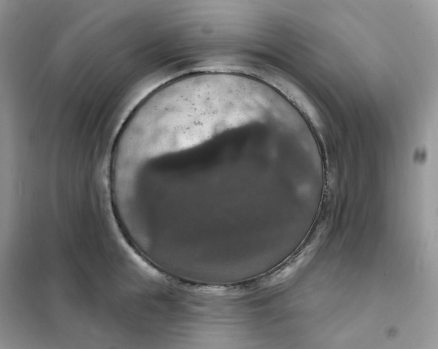 X0000102040855200808011508