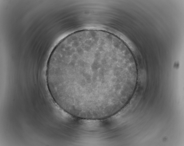 X0000102040856200808011508