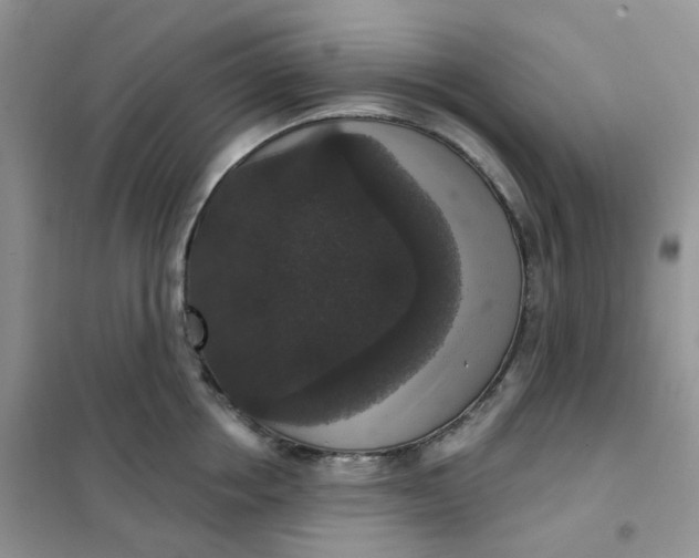 X0000102040858200808011508