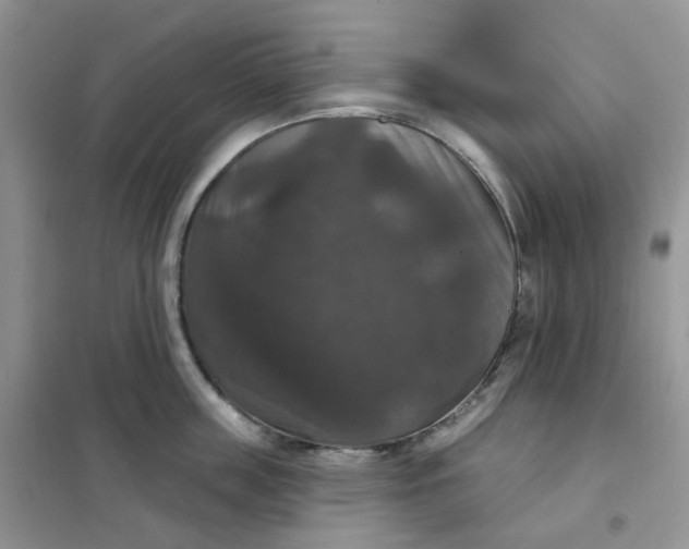 X0000102040859200808011509