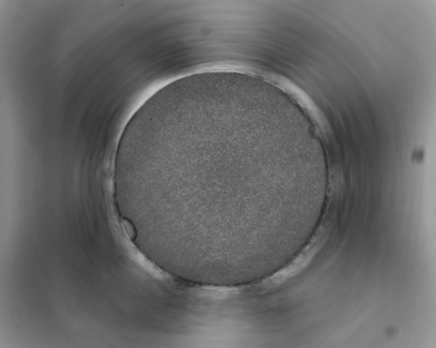 X0000102040860200808011509