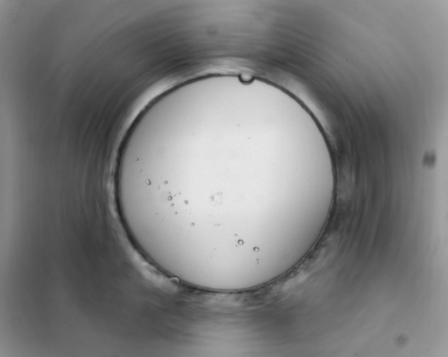 X0000102040861200808011509